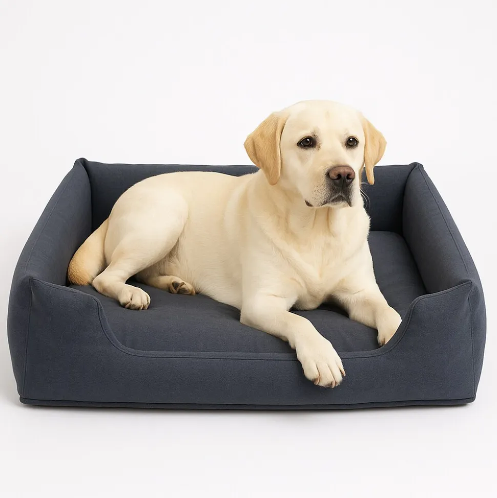INTEX 48702NP - Hunde-Bett - für Hunde bis 22,7kg (97x74x23cm) Tierbett Pet Bed mit Handpumpe