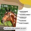 Kartenspiel Trumpfstars Pferde und Ponys 3 in 1 Quartettspiel ab 6 Jahren für 2+ Spieler