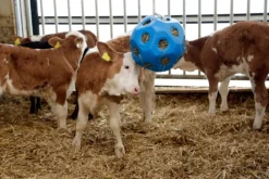 Kerbl Futterball Futterspielball blau für Pferde / Spielzeug für Tiere - 3210385