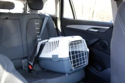 Kerbl Transportbox Gulliver Box für Katzen / Kleintiere, mit Metalltür