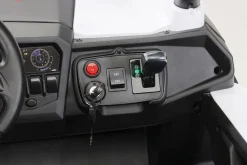 Kinder-Elektroauto UTV Buggy MX Allrad 4x4 (Schwarz Weiß)