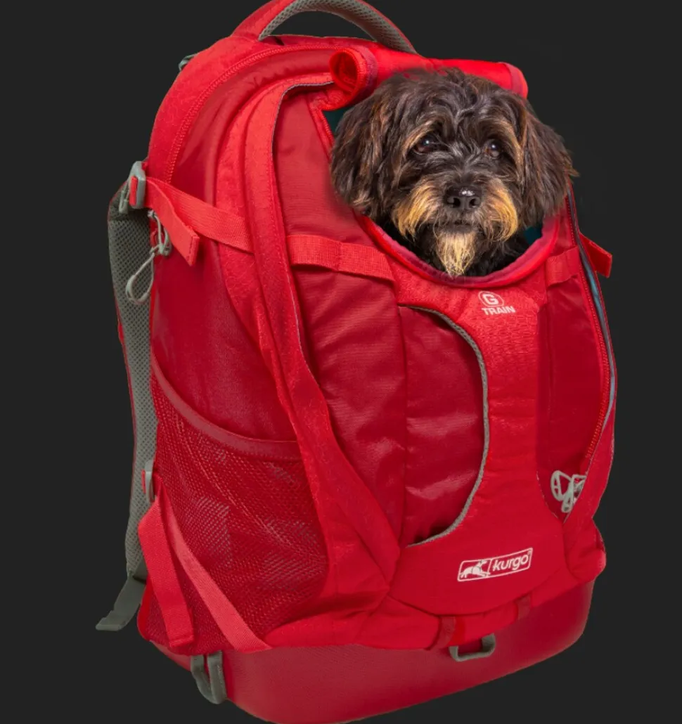 Kurgo G-Train Hunderucksack, Schwarz