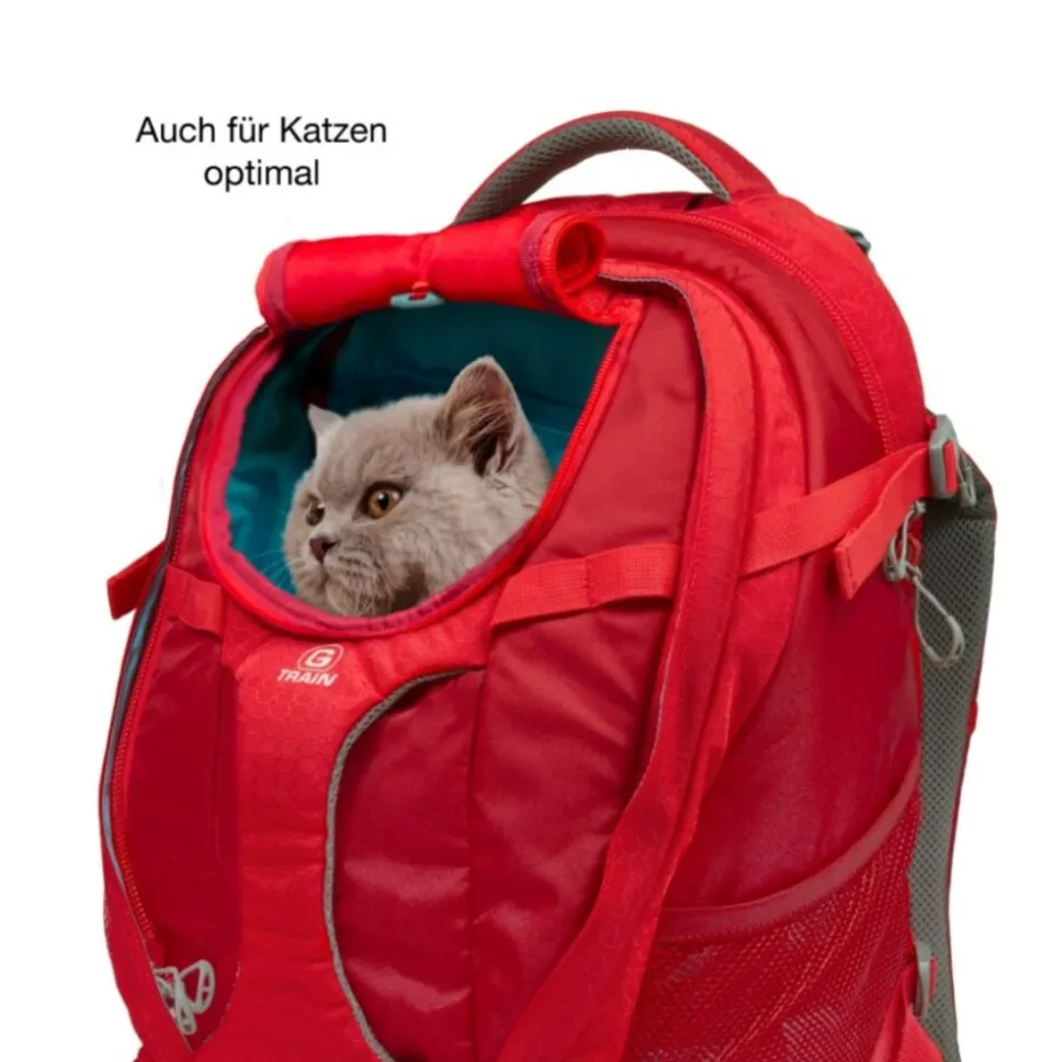 Kurgo G-Train Hunderucksack, Schwarz