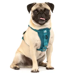 Kurgo Tru-Fit Autosicherheitsgeschirr für Hunde, Größe XS, Tintenblau