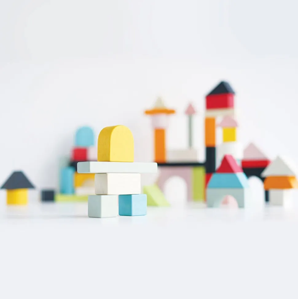 Le Toy Van 60 Bauklötze Holz pastell bunt