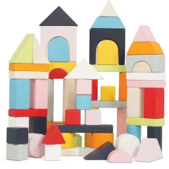 Le Toy Van 60 Bauklötze Holz pastell bunt