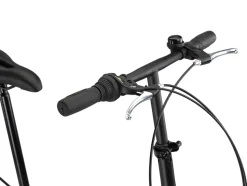 Licorne Bike Conseres Premium Falt Bike in 20 Zoll - Fahrrad für Herren, Jungen, Mädchen und Damen - Shimano 6 Gang-Schaltung - Hollandfahrrad Zoll:20;Farbe:Weiß/Schwarz