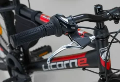 Licorne Bike Guide Premium Mountainbike in 20, 24 und 26 Zoll - Fahrrad für Mädchen, Jungen, Herren und Damen - Shimano 21 Gang-Schaltung, Kinderfahrrad, Kinder Farbe:Schwarz/Rot/Grau;Zoll:24