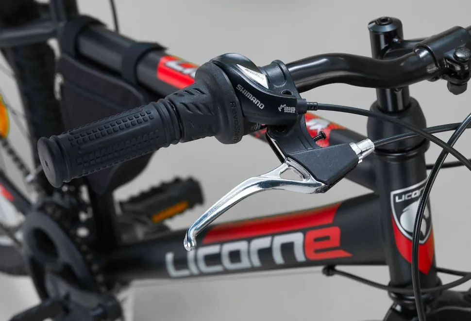 Licorne Bike Guide Premium Mountainbike in 20, 24 und 26 Zoll - Fahrrad für Mädchen, Jungen, Herren und Damen - Shimano 21 Gang-Schaltung, Kinderfahrrad, Kinder Farbe:Schwarz/Rot/Grau;Zoll:24