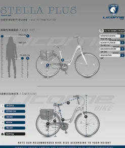 Licorne Bike Stella Plus Premium City Bike in Zoll Aluminium Fahrrad für Mädchen, Jungen, Herren und Damen - 21 Gang-Schaltung - Hollandfahrrad Größe:28 Zoll;Farbe:Gold