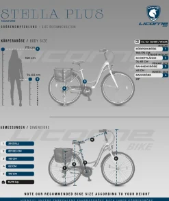 Licorne Bike Stella Plus Premium City Bike in Zoll Aluminium Fahrrad für Mädchen, Jungen, Herren und Damen - 21 Gang-Schaltung - Hollandfahrrad Größe:28 Zoll;Farbe:Gold