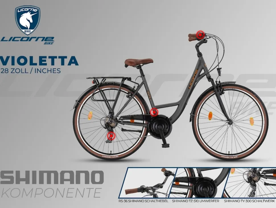 Licorne Bike Violetta Premium City Bike in 28 Zoll - Fahrrad für Mädchen, Jungen, Herren und Damen - Shimano 21 Gang-Schaltung - Hollandfahrrad Zoll:28.00;Farbe:Grau