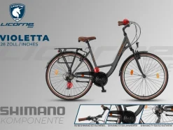 Licorne Bike Violetta Premium City Bike in 28 Zoll - Fahrrad für Mädchen, Jungen, Herren und Damen - Shimano 21 Gang-Schaltung - Hollandfahrrad Zoll:28.00;Farbe:Grau