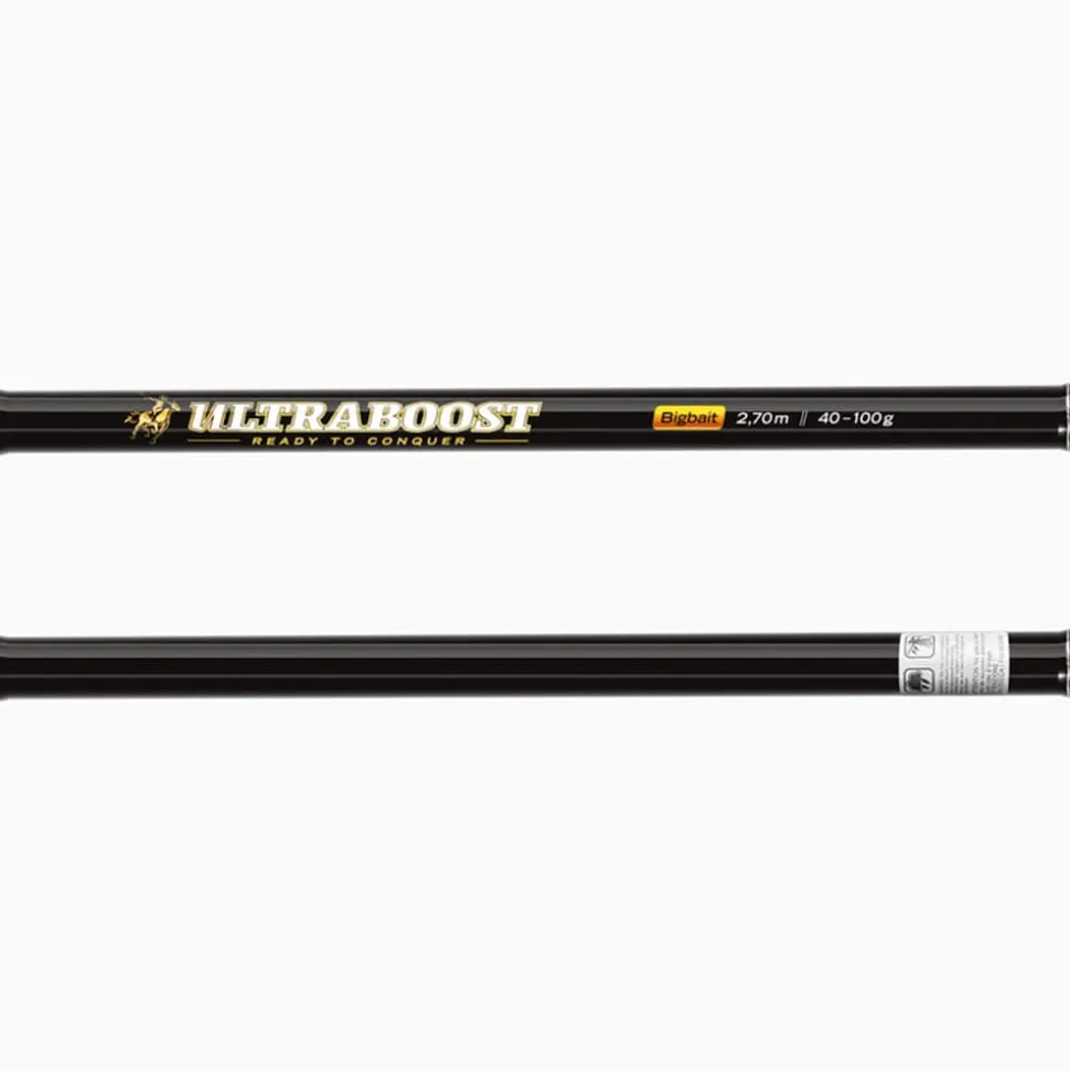 Lieblingsköder ULTRABOOST Bigait 2,70m 40-100g Hechtrute