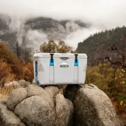 Lifetime Kühlbox 73 Liter