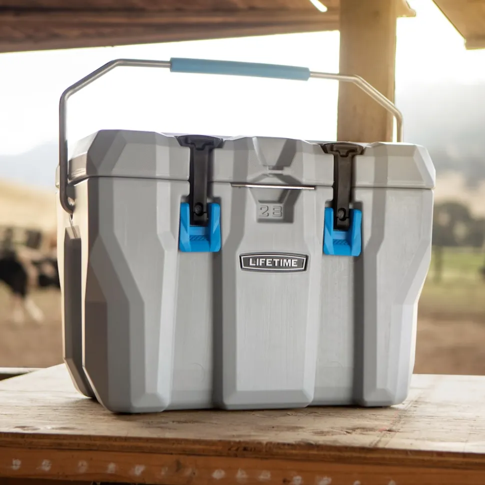 Lifetime Kühlbox 26,5 Liter Volumen grau
