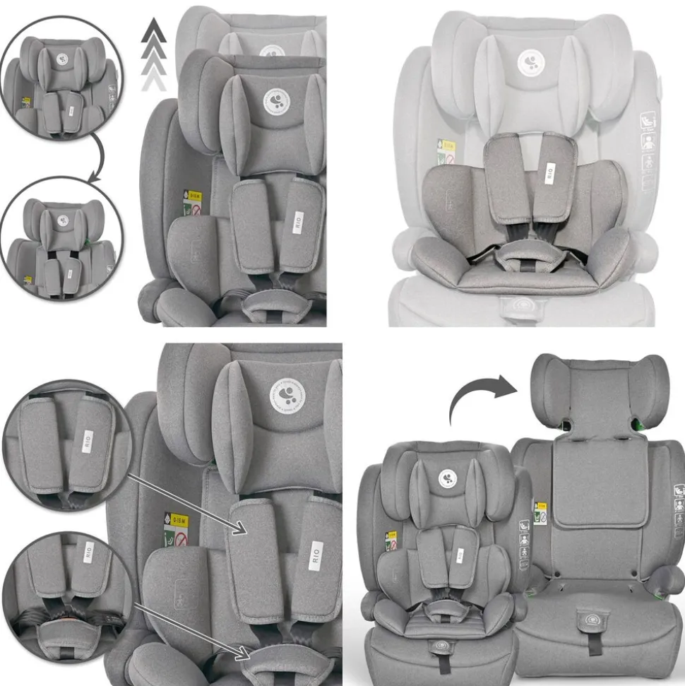 Lorelli Kindersitz Rio i-Size (76 - 150 cm) Isofix Top Tether Kissen verstellbar hellgrau