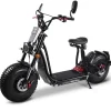 Maximus, E-Cruiser 45 - 45 km/h, 60V-25,6 Ah Lithium Akku, 2x1500 Watt