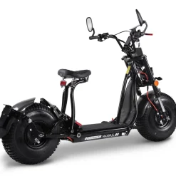 Maximus, E-Cruiser 45 - 45 km/h, 60V-25,6 Ah Lithium Akku, 2x1500 Watt