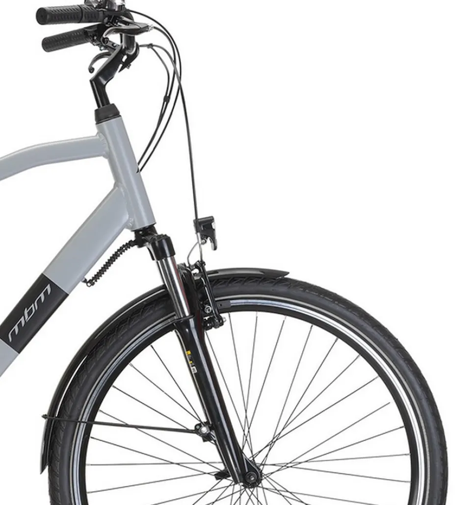 MBM Elektro-Citybike RHEA MAN 28 Zoll, grey