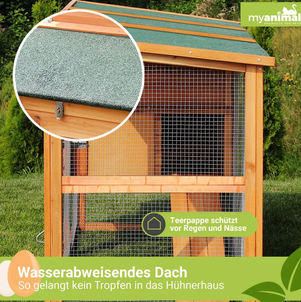 MyAnimal Hühnerstall für 4 Hühner MH-04 mit Eiablage, wasserabweisendes Dach, schutzimprägniert (Grau)