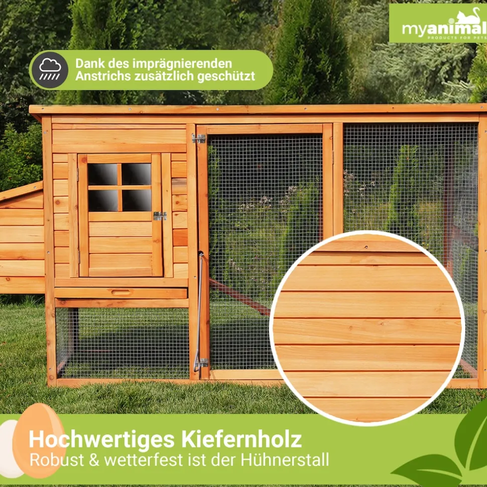 MyAnimal Hühnerstall für 4 Hühner MH-04 mit Eiablage, wasserabweisendes Dach, schutzimprägniert (Grau)