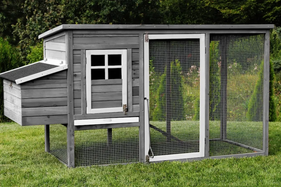 MyAnimal Hühnerstall für 4 Hühner MH-04 mit Eiablage, wasserabweisendes Dach, schutzimprägniert (Grau)
