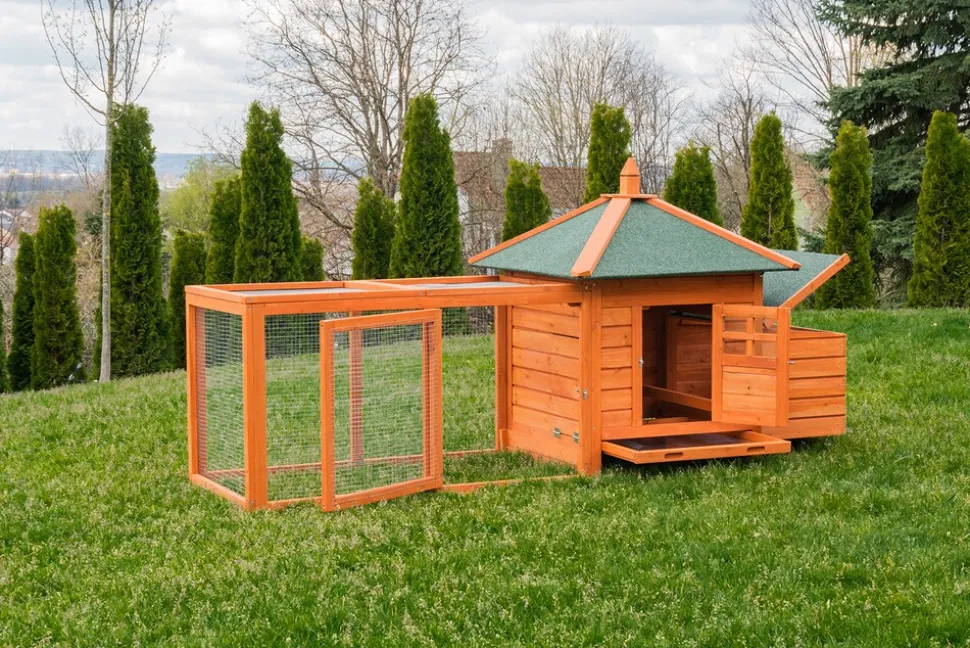 MyAnimal Hühnerstall für 3 Hühner MH-19 mit Auslauf, Hühnerhaus wetterfest imprägniert, Nistkasten (Braun 2.0)