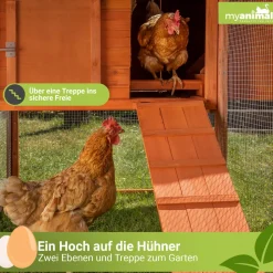 MyAnimal Hühnerstall XXL für 8 Hühner MH-22, Hühnerhaus mit zwei Nistkästen, Auslauf, zwei Ebenen (Grau/Weiß 2.0)