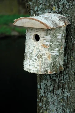Naturbelassener Birkenholz-Nistkasten, Nisthilfe für Wildvögel, Loch Ø 32 mm, 14 x 14 x 22 cm, Birke