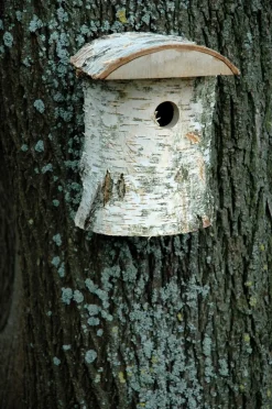 Naturbelassener Birkenholz-Nistkasten, Nisthilfe für Wildvögel, Loch Ø 32 mm, 14 x 14 x 22 cm, Birke