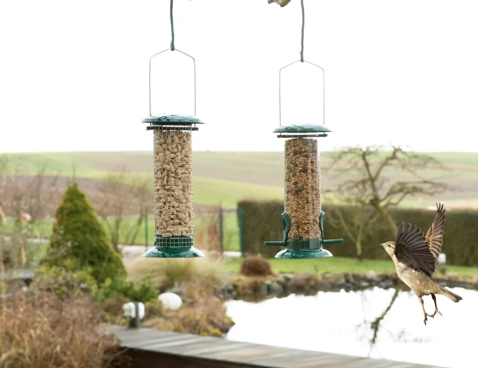 needs&wants® 2er Set: Vogelfutterspender zum Aufhängen Metall Edelstahl Kunststoff, Vogelfutterstation klein Futterstation Vögel Wildvögel