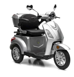 Nova Motors Bendi silber 20 km/h 1 x 20Ah Akkupack, Gehstockhalter