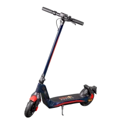 Oracle Red Bull Racing RB-RNINEP9-75 RS 900