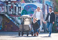 PINOLINO Klappbollerwagen Cruiser PI 500 – grau