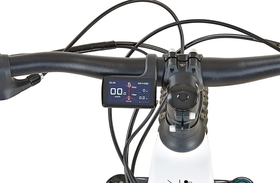 Prophete Dice 5.0 E-MTB E-Bike 27,5"