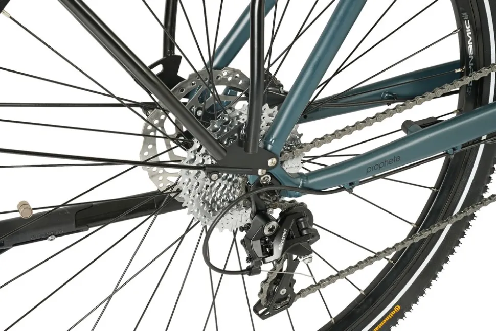 Prophete E-Bike Entdecker 4.8 RH50