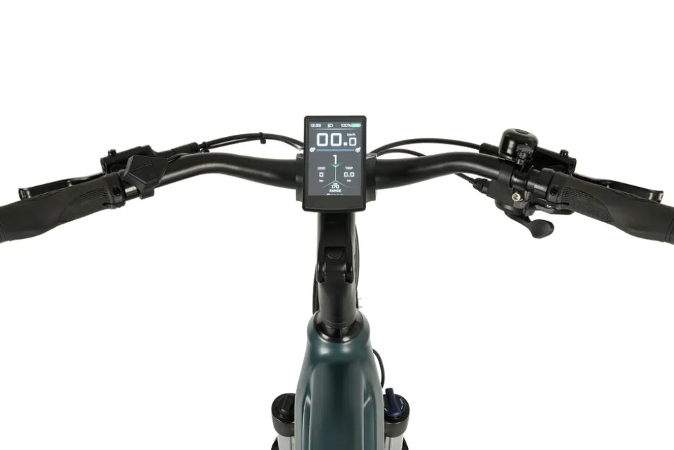 Prophete E-Bike Entdecker 4.8 RH50