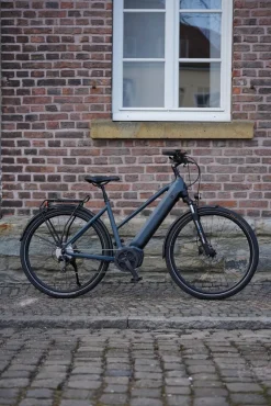 Prophete E-Bike Entdecker 4.8 RH50