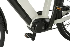 Prophete E-Bike Entdecker 5.0 Trekking 28