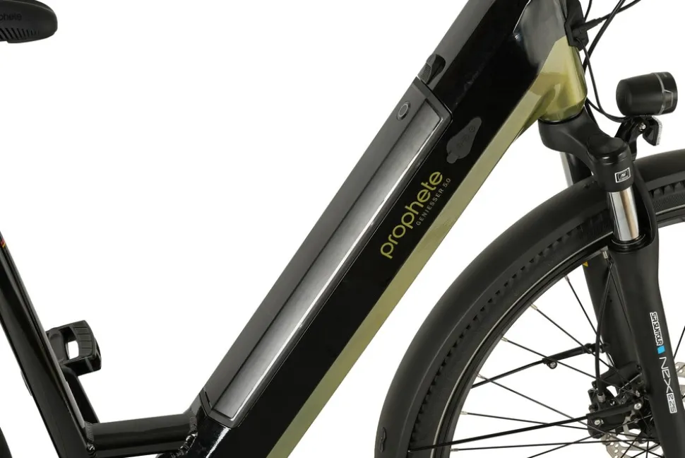 Prophete E-Bike Geniesser 6.0 City 28"
