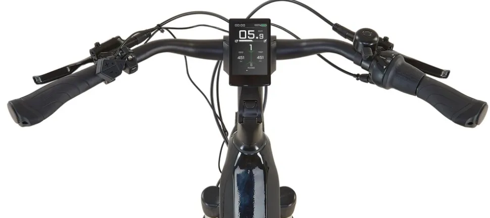 Prophete E-Bike Geniesser 6.0 City 28"
