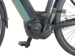 Prophete E-Bike Geniesser 4.0 City 28