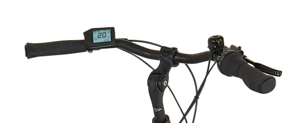 Prophete E-Bike Geniesser 3.8 RH48