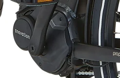 Prophete E-Bike Geniesser 3.8 RH48