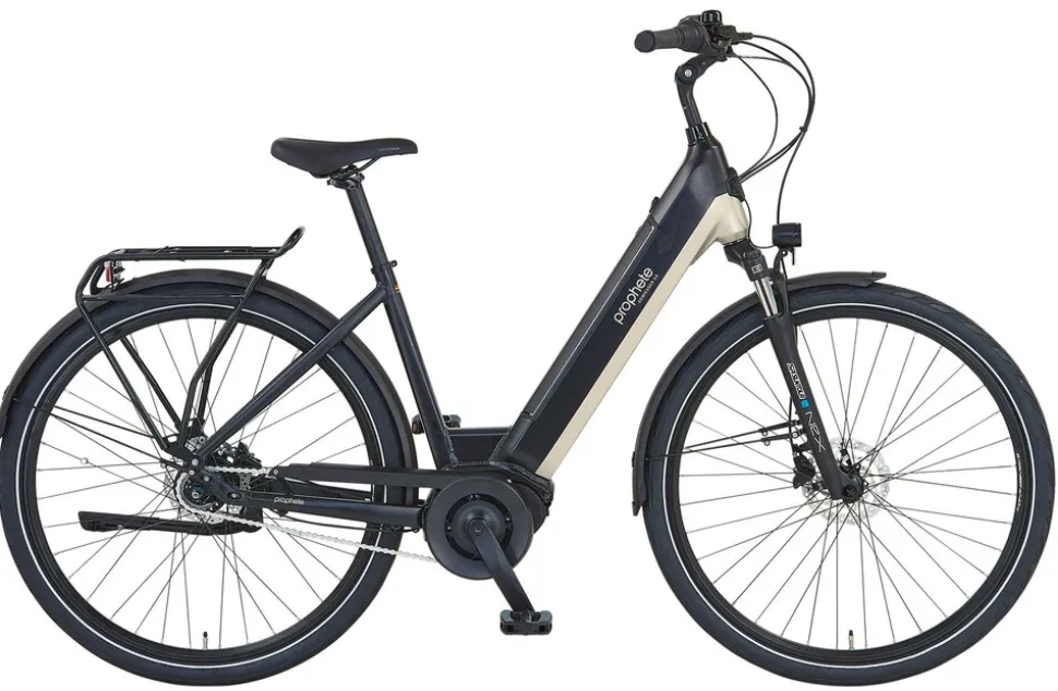 Prophete E-Bike Geniesser 3.8 RH48