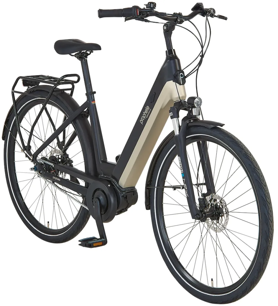 Prophete E-Bike Geniesser 3.8 RH48