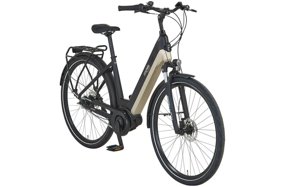 Prophete E-Bike Geniesser 3.8 RH48