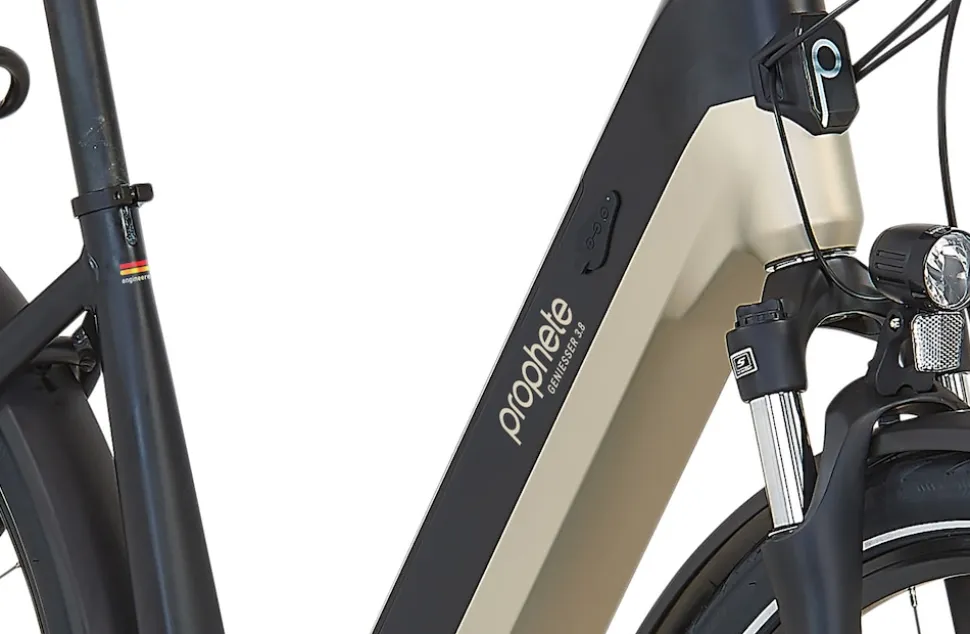 Prophete E-Bike Geniesser 3.8 RH48