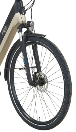 Prophete E-Bike Geniesser 3.8 RH48